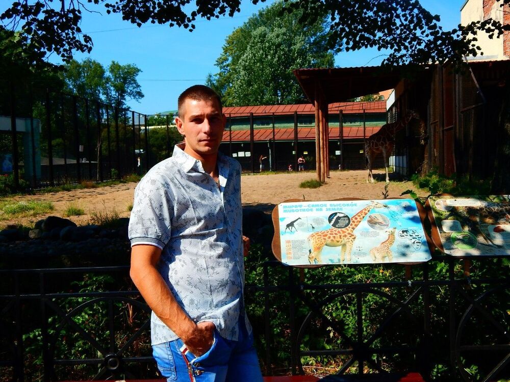 ���� 17684842 ������� �������, 39 ���, ���� ���������� � ���������