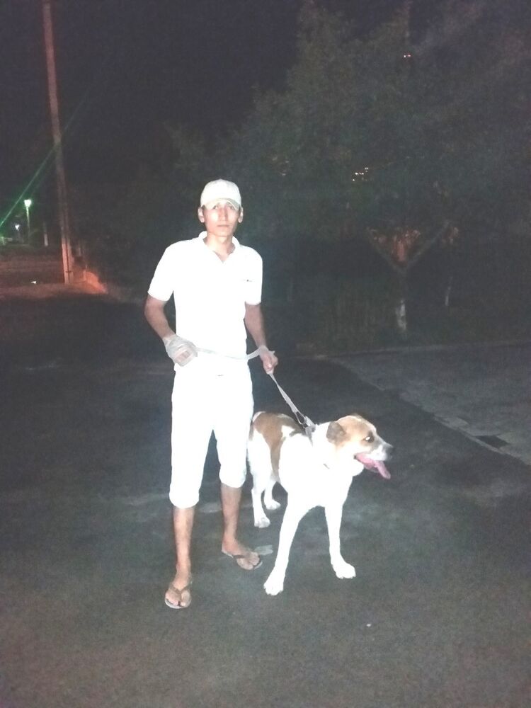 ���� 9388642 ������� ����� ����, 33 ����, ���� ���������� � ��������