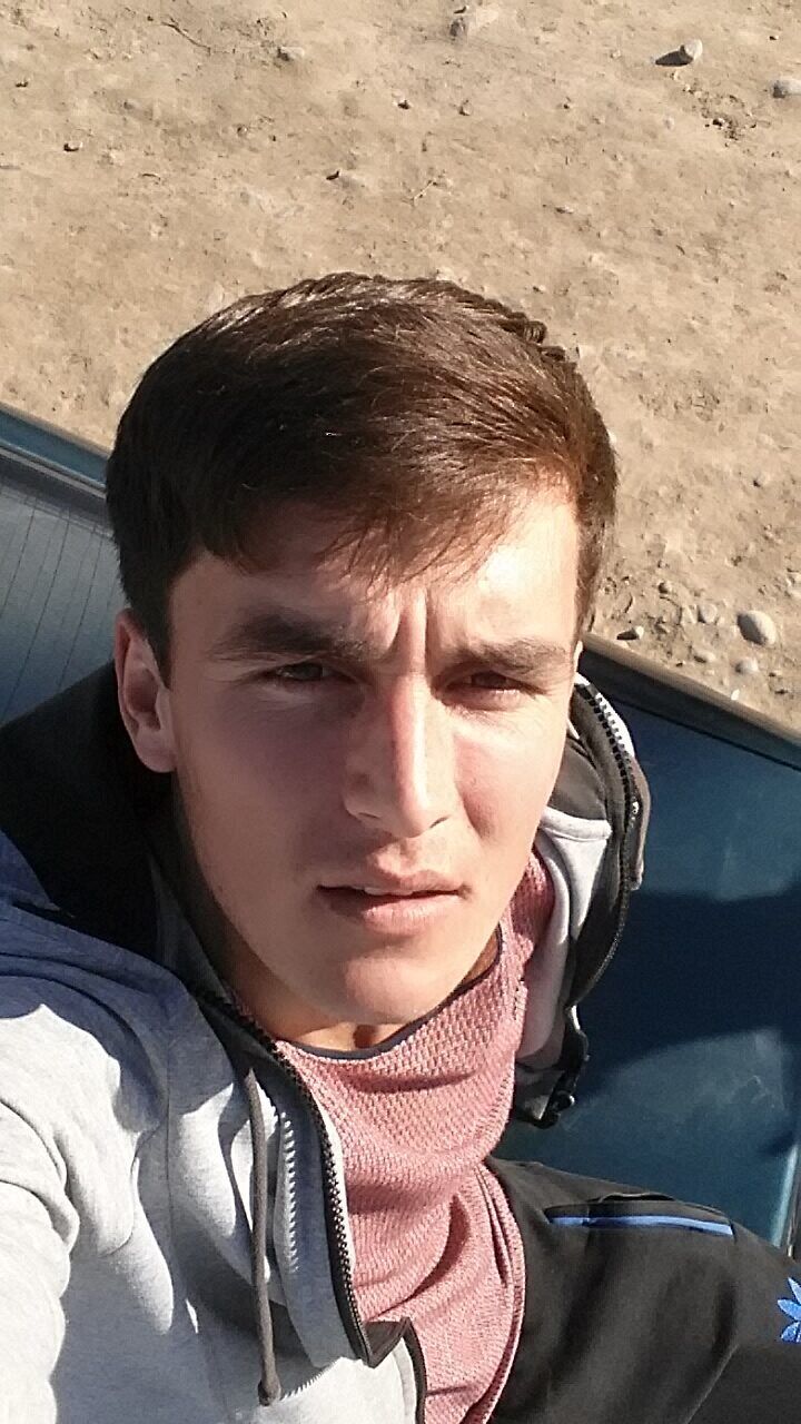  28144292  , 31 ,    