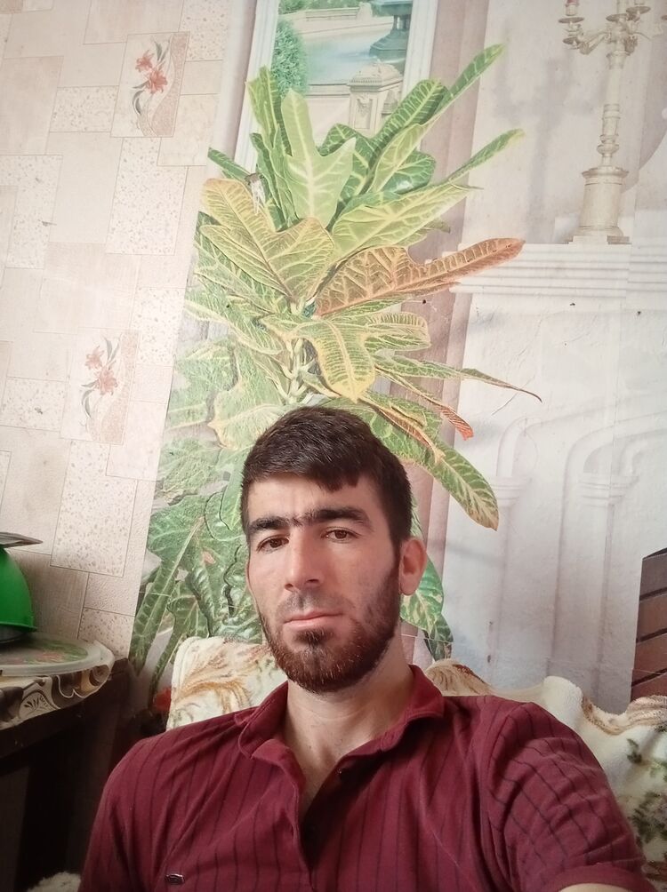  23729292  , 34 ,    