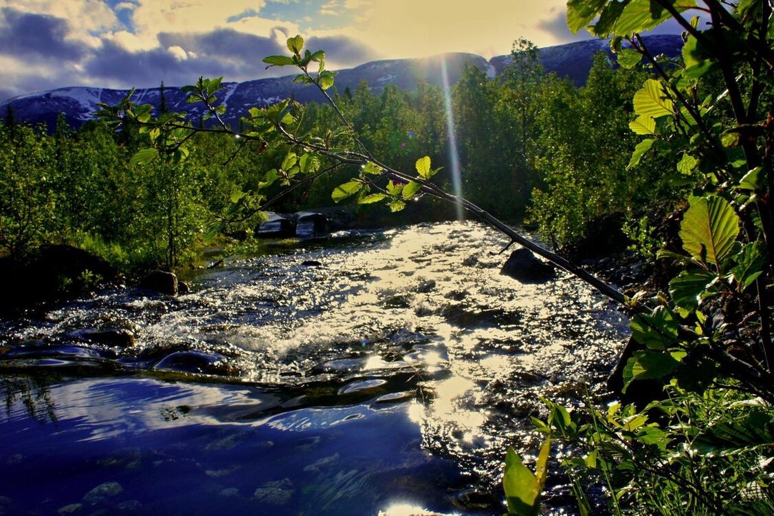 ���������� ����, ���� ������� �����, 39 ���, ������������ 