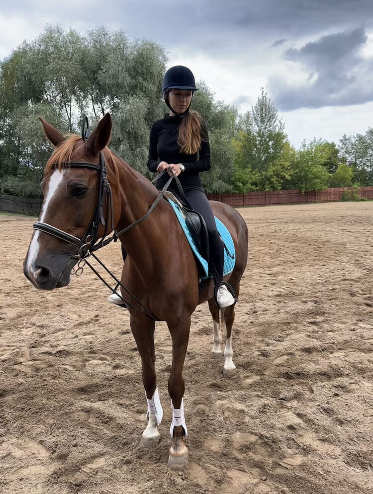 ���������� ������, ���� ������� �����, 27 ���, ������������ ��� ����� � ���������, c�������� ���������