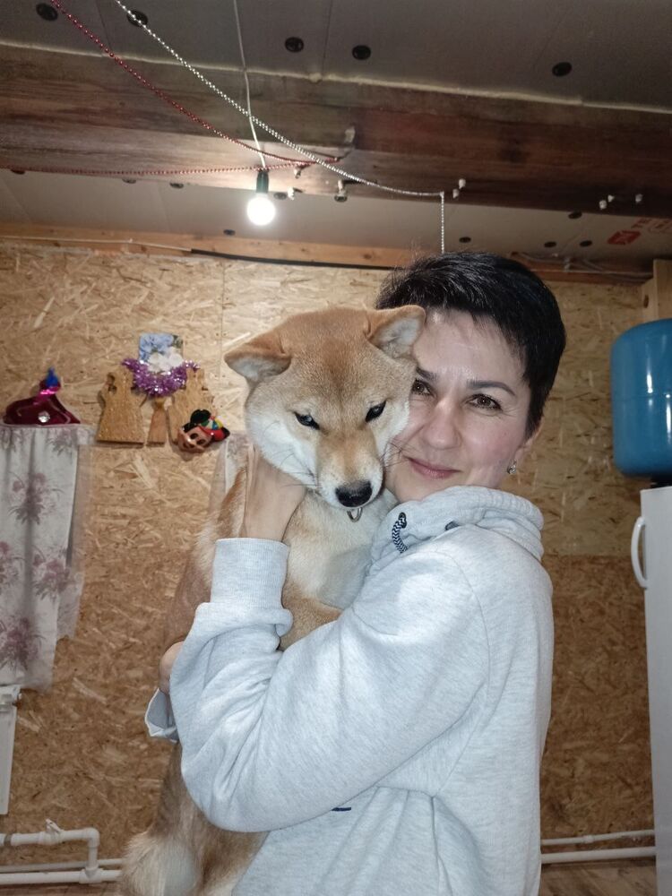 ���� 55071272 ������� �����, 46 ���, ���� ���������� � ������ ���������