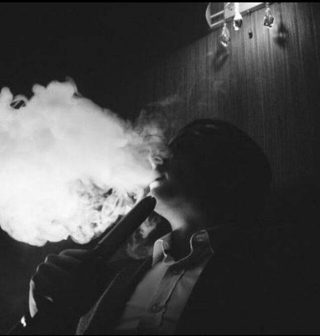  30828102  Blec, 28 ,    