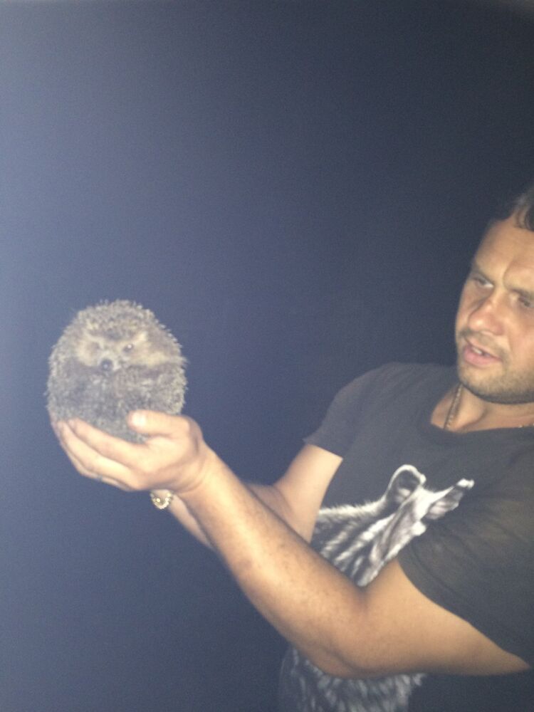 ���������� �������, ���� ������� �����, 36 ���, ������������ ��� ������, ����� � ���������, c�������� ���������