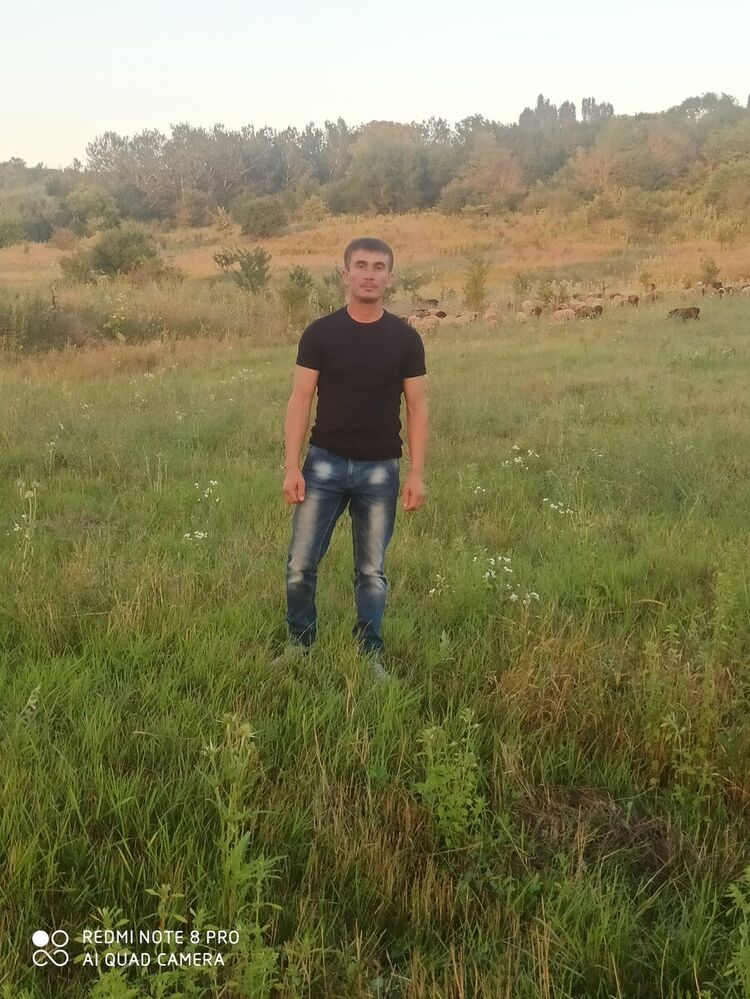 20663262  , 37 ,    