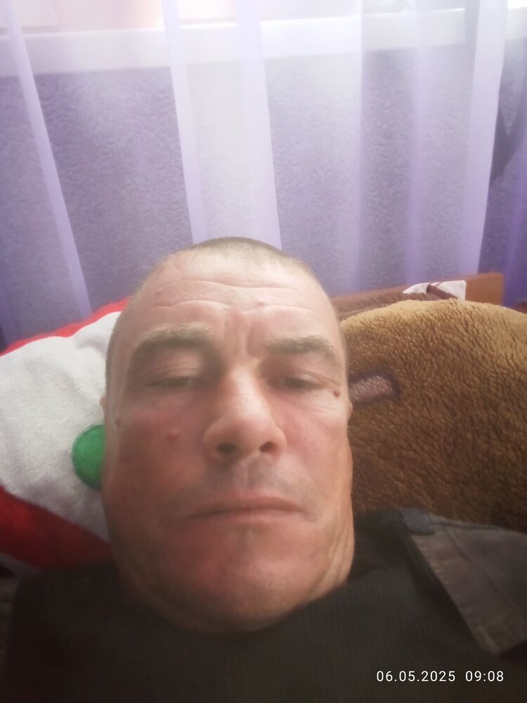  51333272  , 42 ,    