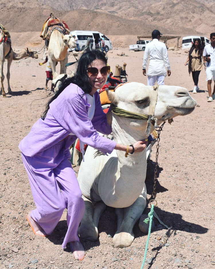 ���������� ������, ���� ������� ���������, 27 ���, ������������ ��� c�������� ���������