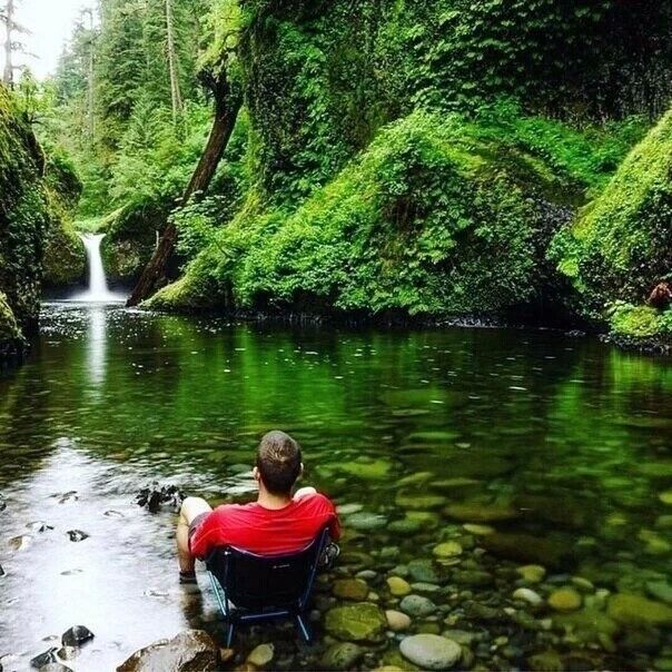 ���� 36971372 ������� ����, 40 ���, ���� ���������� � ����