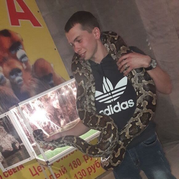 ���� 55492832 ������� Djag, 32 ����, ���� ���������� � ������������