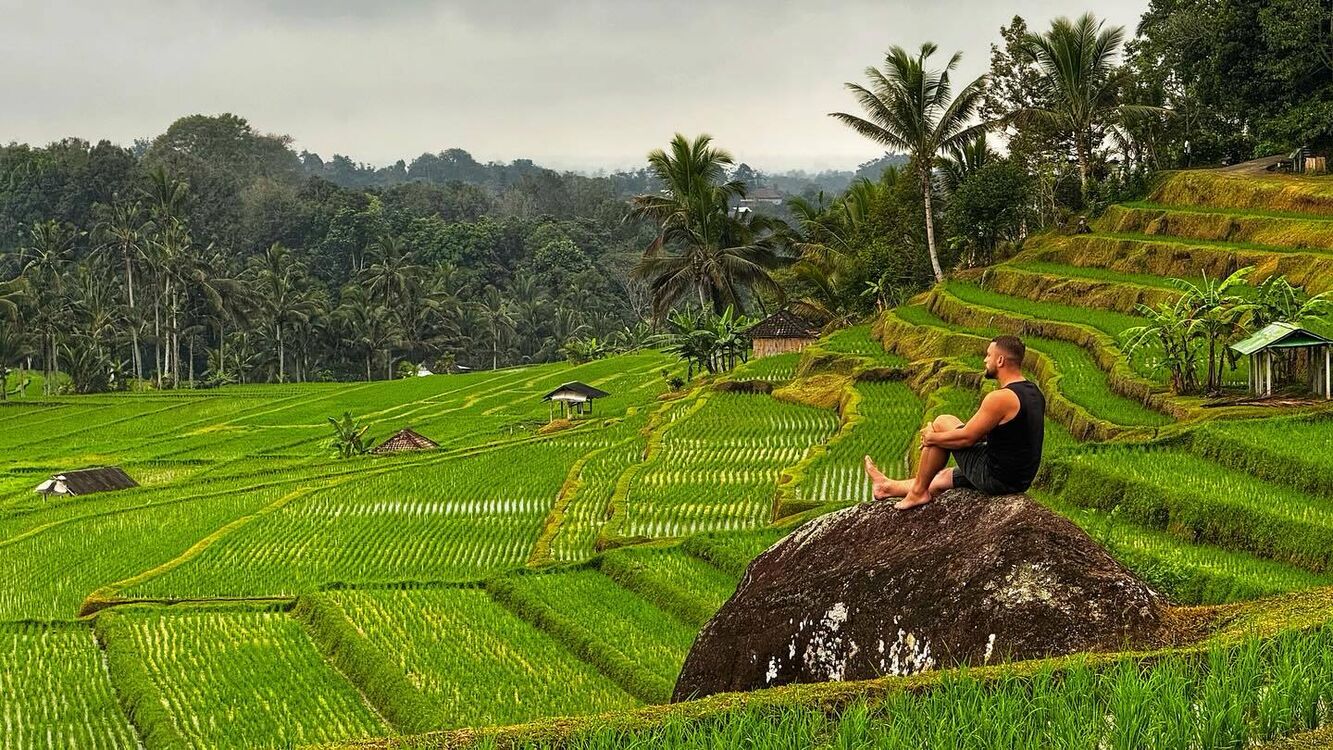 ���������� �������, ���� ������� ������, 35 ���, ������������ ��� ������, ����� � ���������