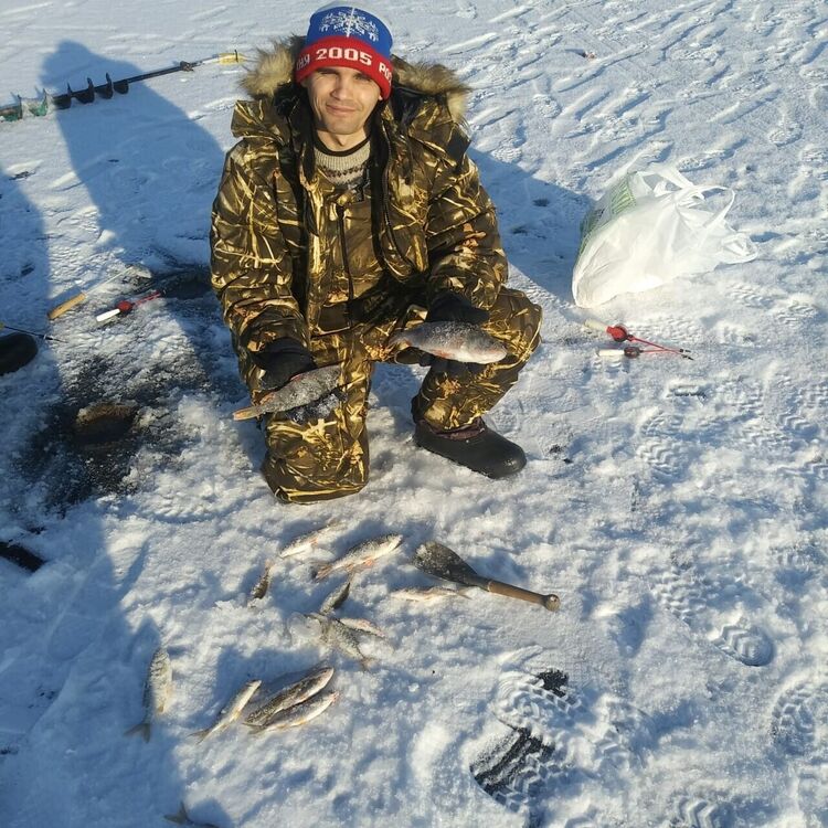 ���� 54858412 ������� ��������, 37 ���, ���� ���������� � ���������