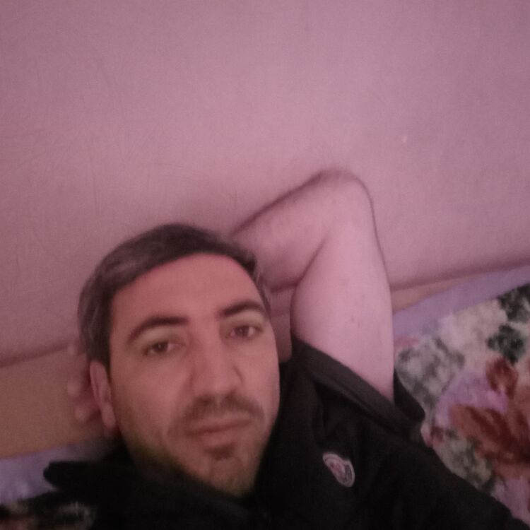  42391852  , 40 ,    