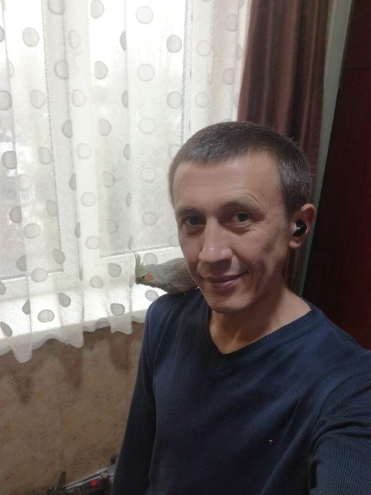 42267812  , 39 ,    