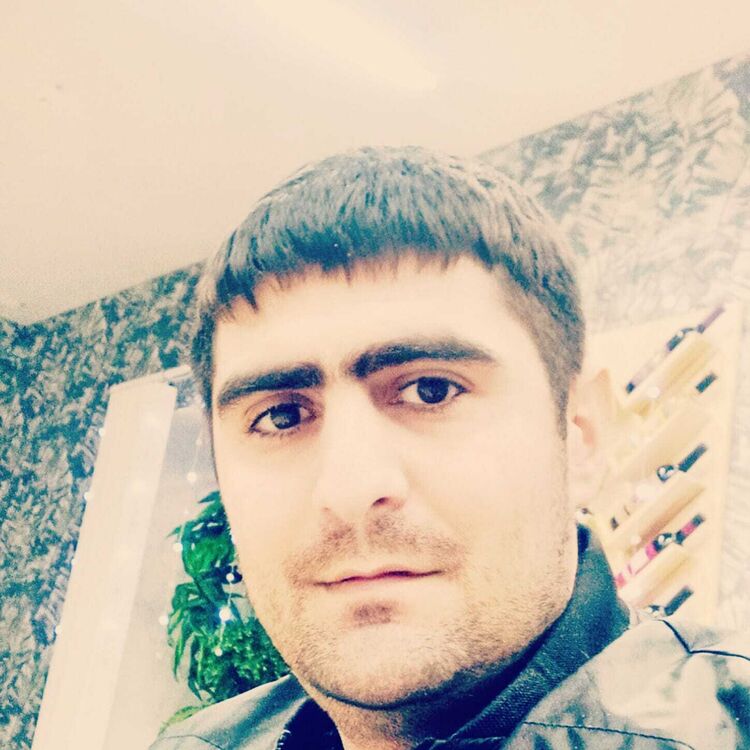  33729122  , 31 ,    