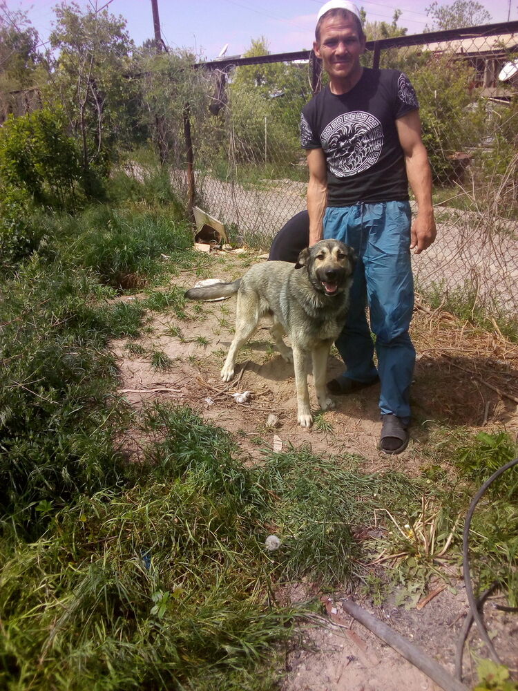 ���������� ������, ���� ������� �����, 46 ���, ������������ ��� ������, ����� � ���������, c�������� ���������