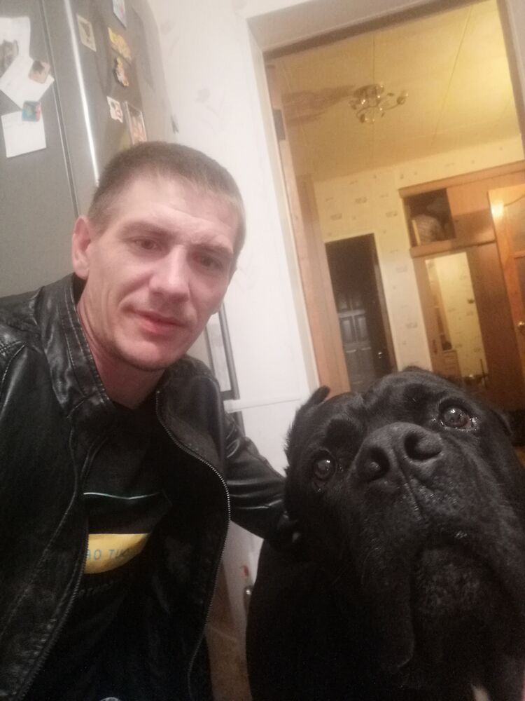  ,   , 33 ,   ,   , 