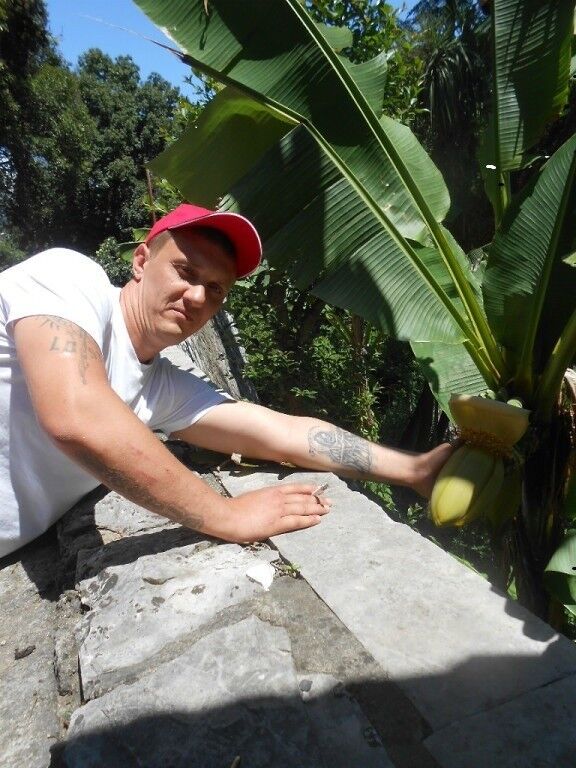 ���������� �������, ���� ������� �����, 45 ���, ������������ ��� ������, ����� � ���������, c�������� ���������