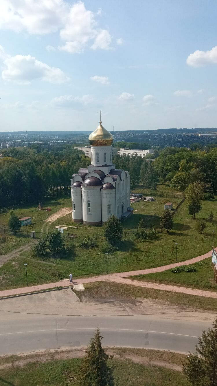  31067082  , 57 ,    