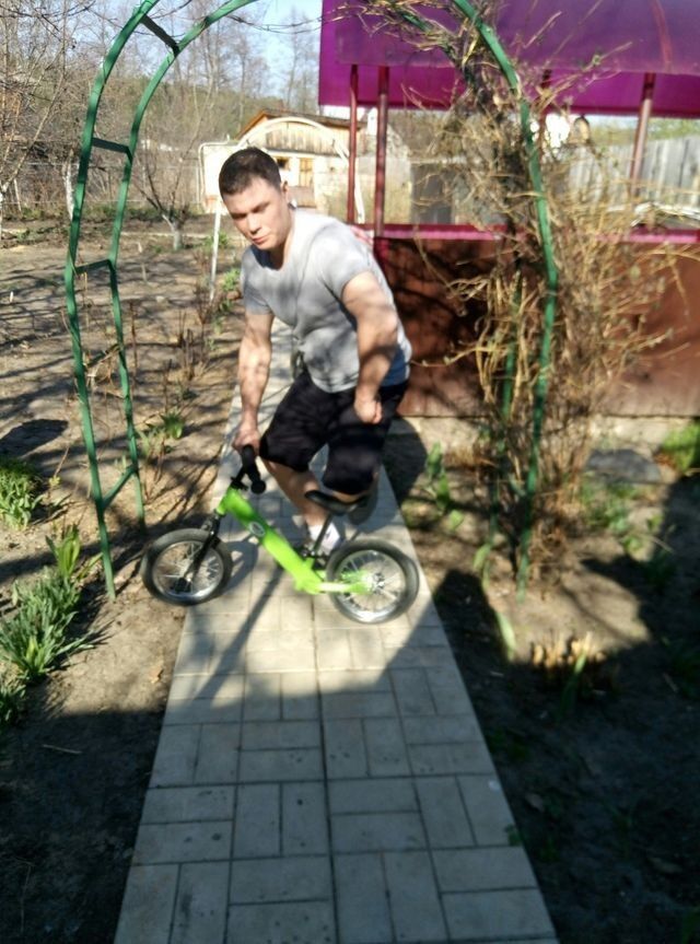 ���� 16561222 ������� ���������, 44 ����, ���� ���������� � �����