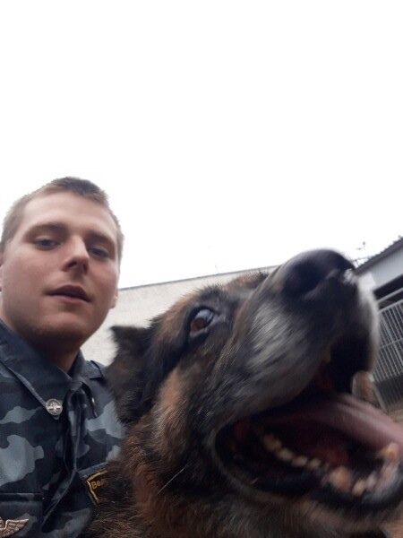 ���� 25294122 ������� ���������, 29 ���, ���� ���������� � ����-��������