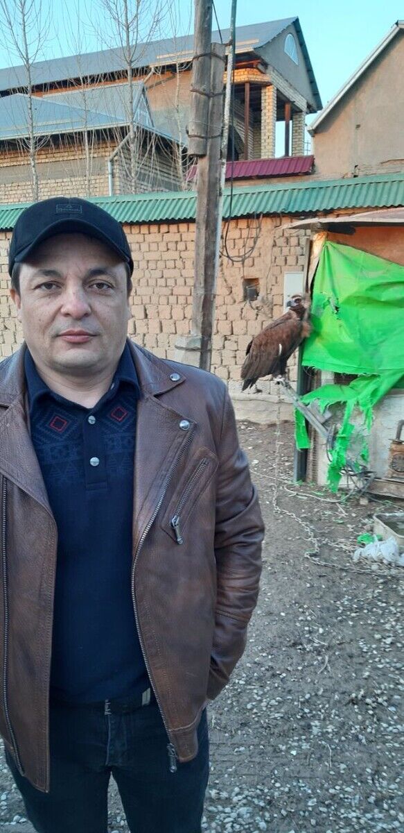 ���� 22281392 ������� �������, 48 ���, ���� ���������� � ��������