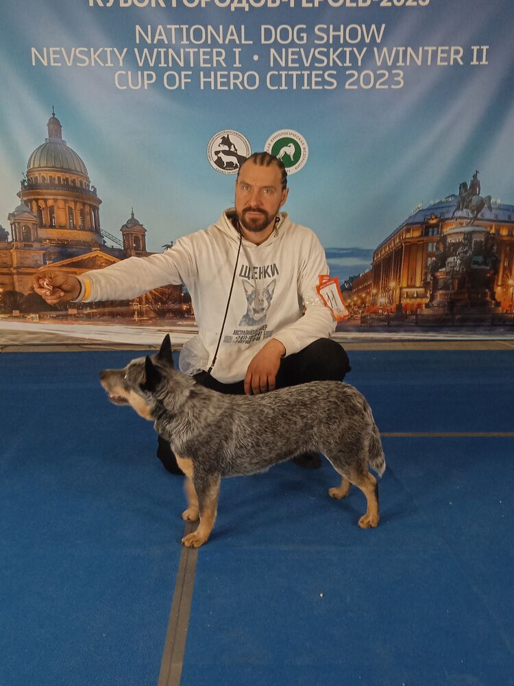 ���������� �����-���������, ���� ������� Dino, 47 ���, ������������ ��� ������, ����� � ���������, c�������� ���������