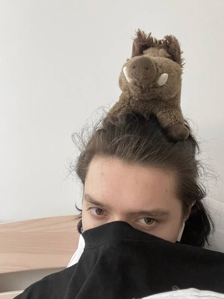  27598582  , 23 ,    -