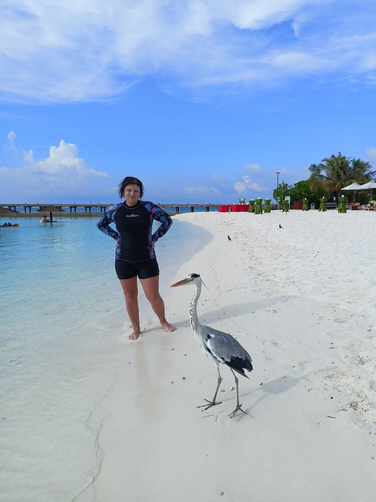 ���������� ����, ���� ������� �����, 43 ����, ������������ ��� ������, ����� � ���������