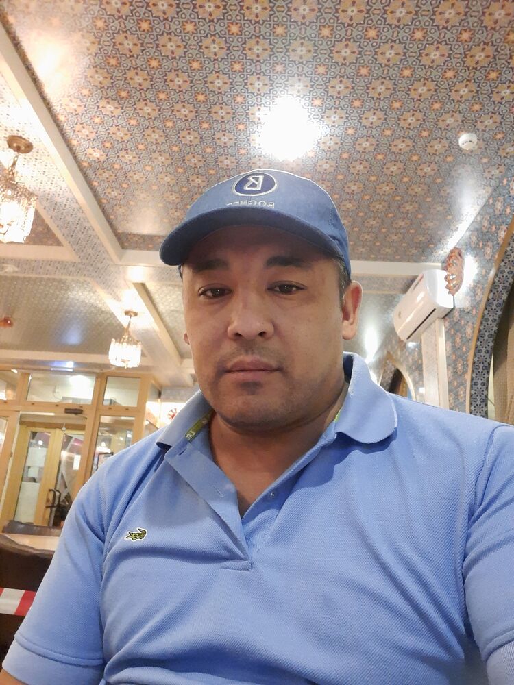  23939822  , 41 ,    -