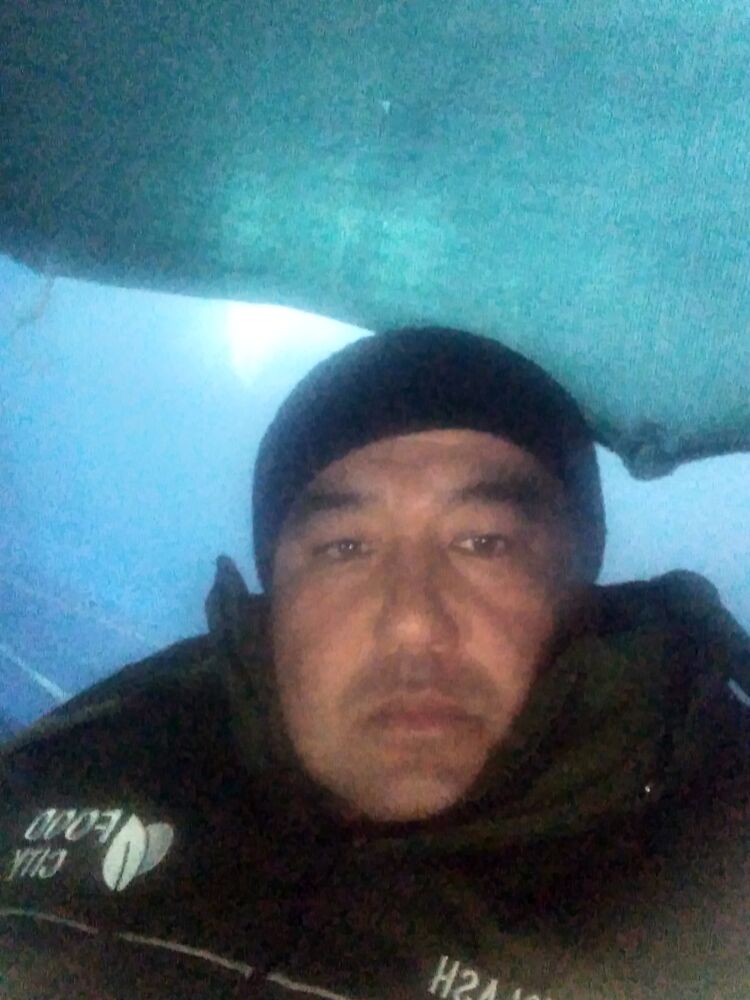 ���� 41021382 ������� �����, 43 ����, ���� ���������� � ��������