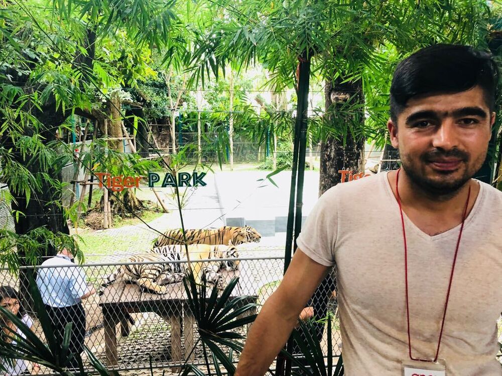  29548552  , 37 ,    -