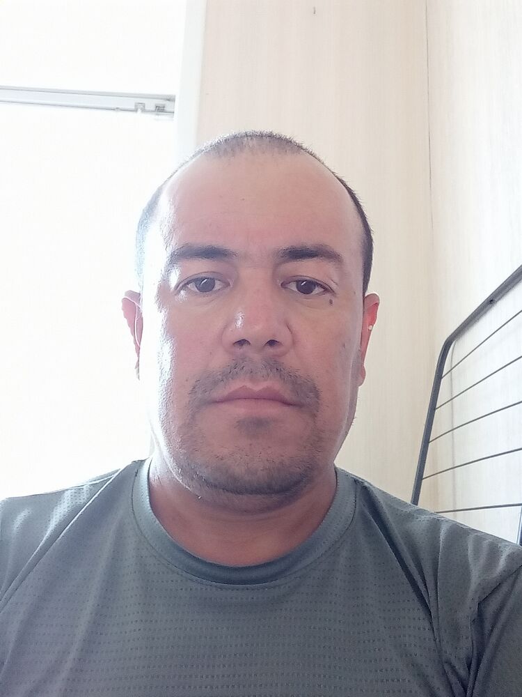  44257682  , 41 ,    