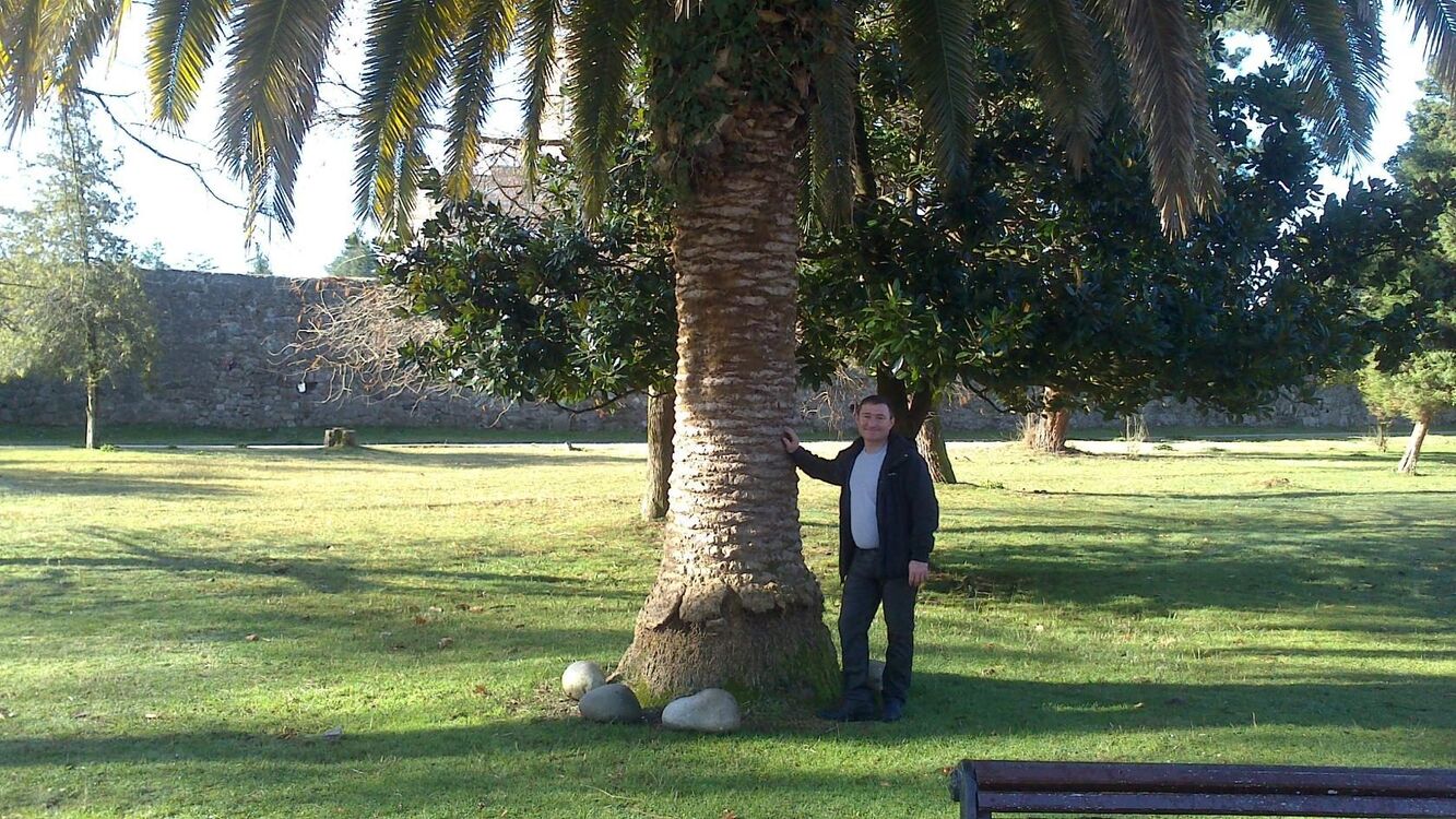 ���� 39726732 ������� ���������, 48 ���, ���� ���������� � ����������