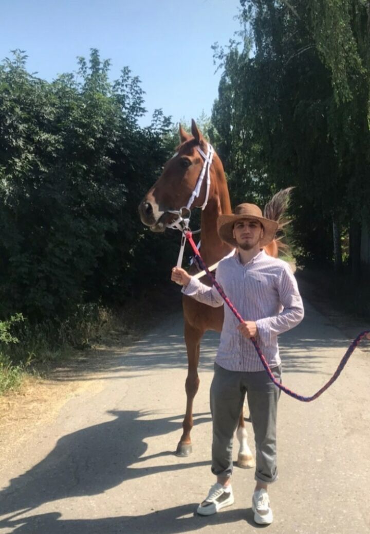 ���������� ������, ���� ������� �����, 33 ����, ������������ ��� ������, ����� � ���������