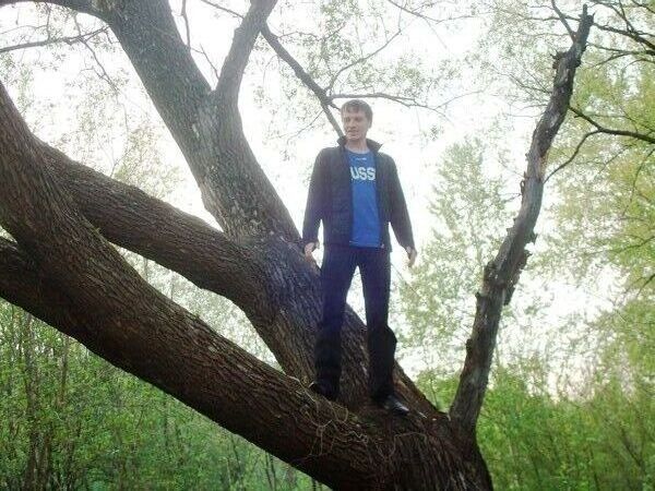 ���������� ������, ���� ������� ����, 42 ����, ������������ ��� ������