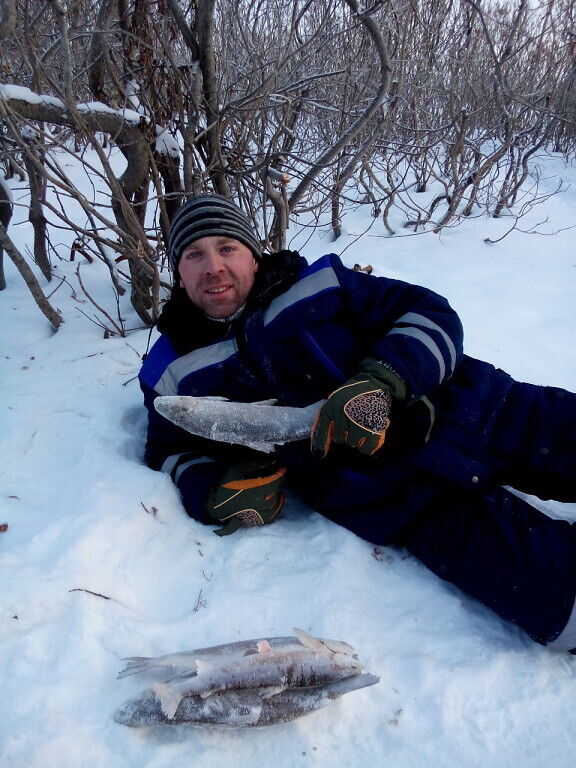 ���� 55272672 ������� �����, 46 ���, ���� ���������� � ���������