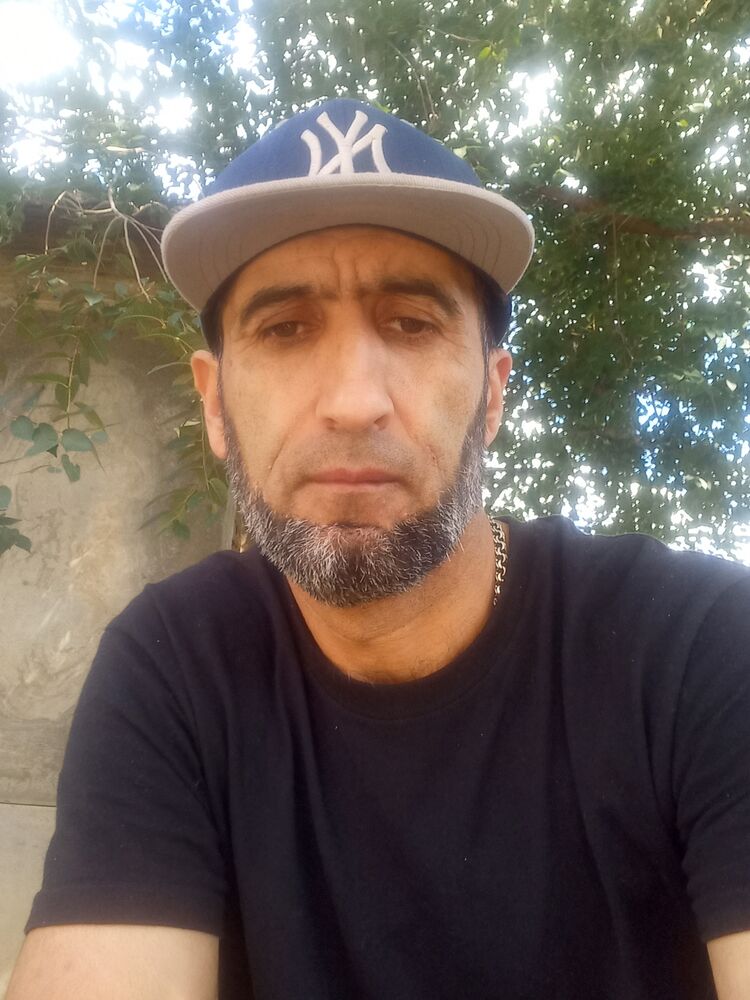  44267772  , 41 ,    -