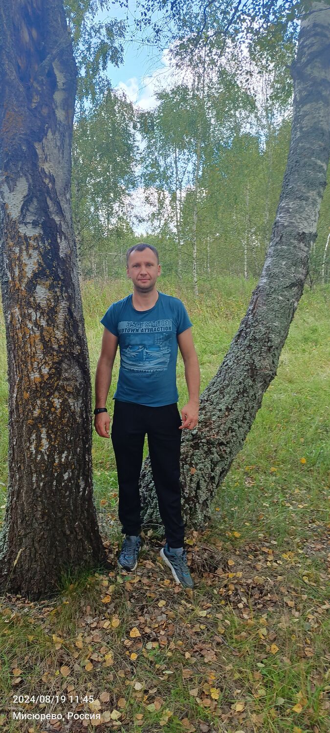  ,   , 41 ,   ,   