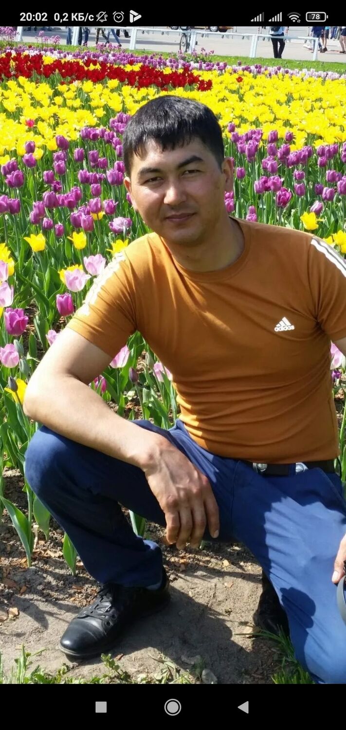  ,   , 38 ,   ,   