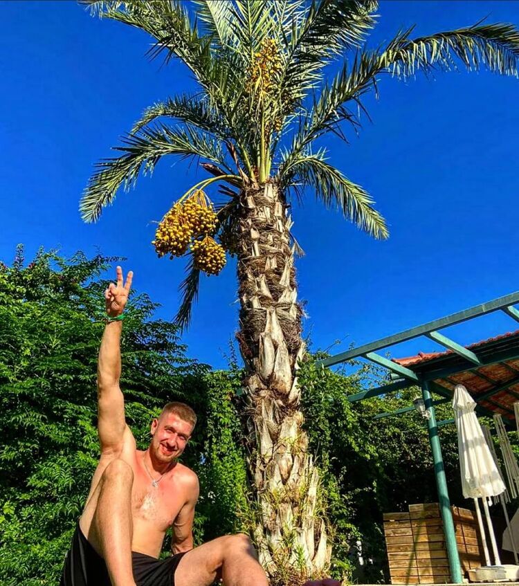 ���������� ������, ���� ������� ���������, 28 ���, ������������ ��� ������, ����� � ���������, c�������� ���������, ���������