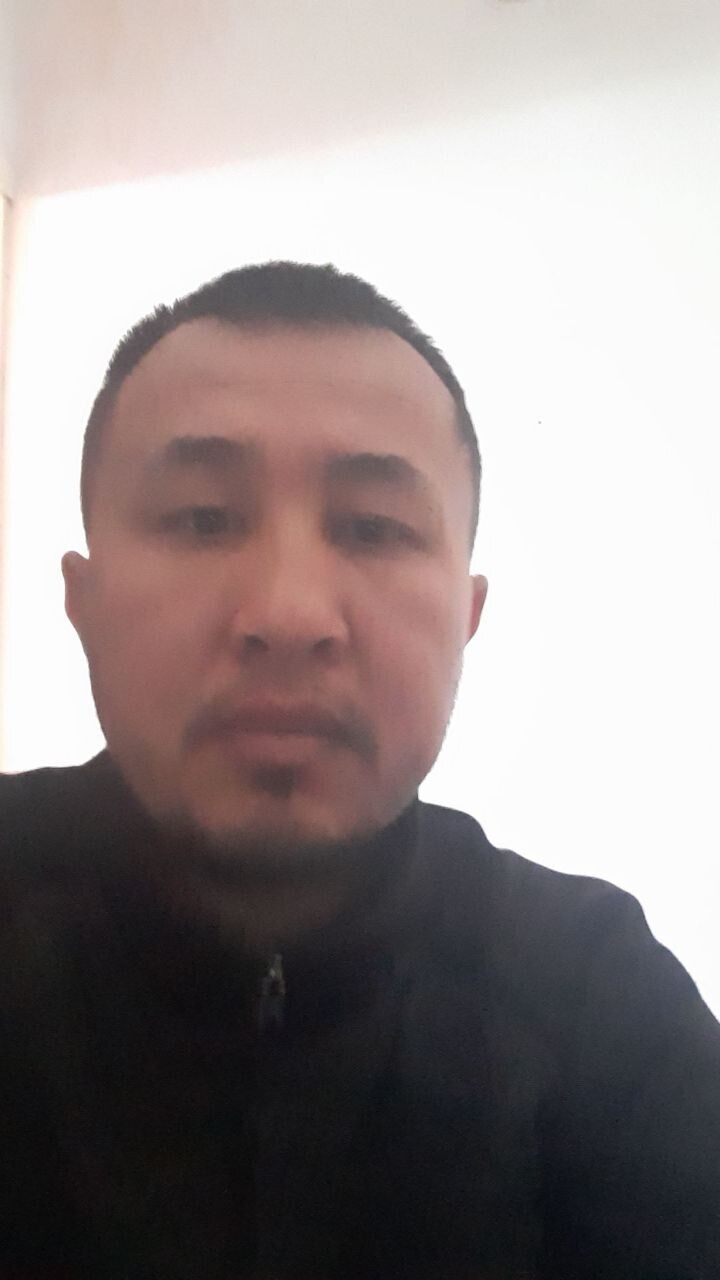 ���� 33528362 ������� Zuh, 38 ���, ���� ���������� � �������