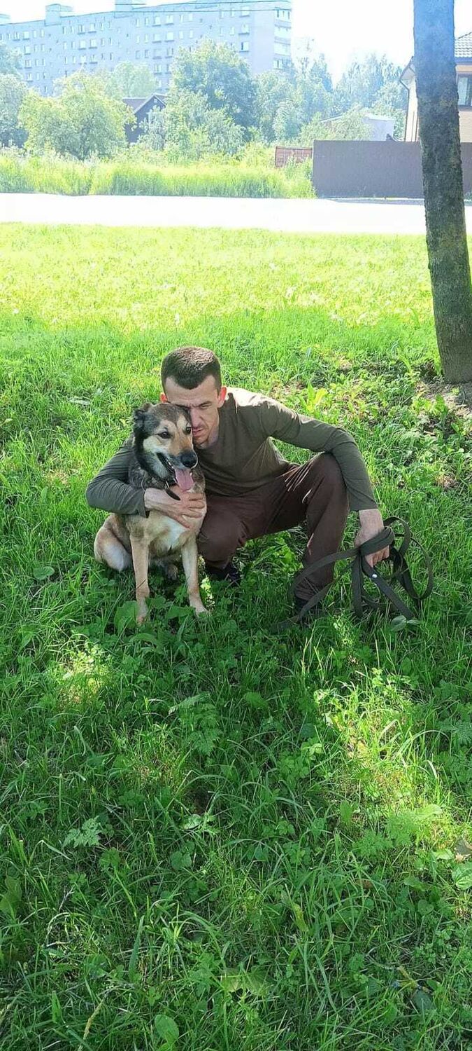  54438142  , 40 ,    -