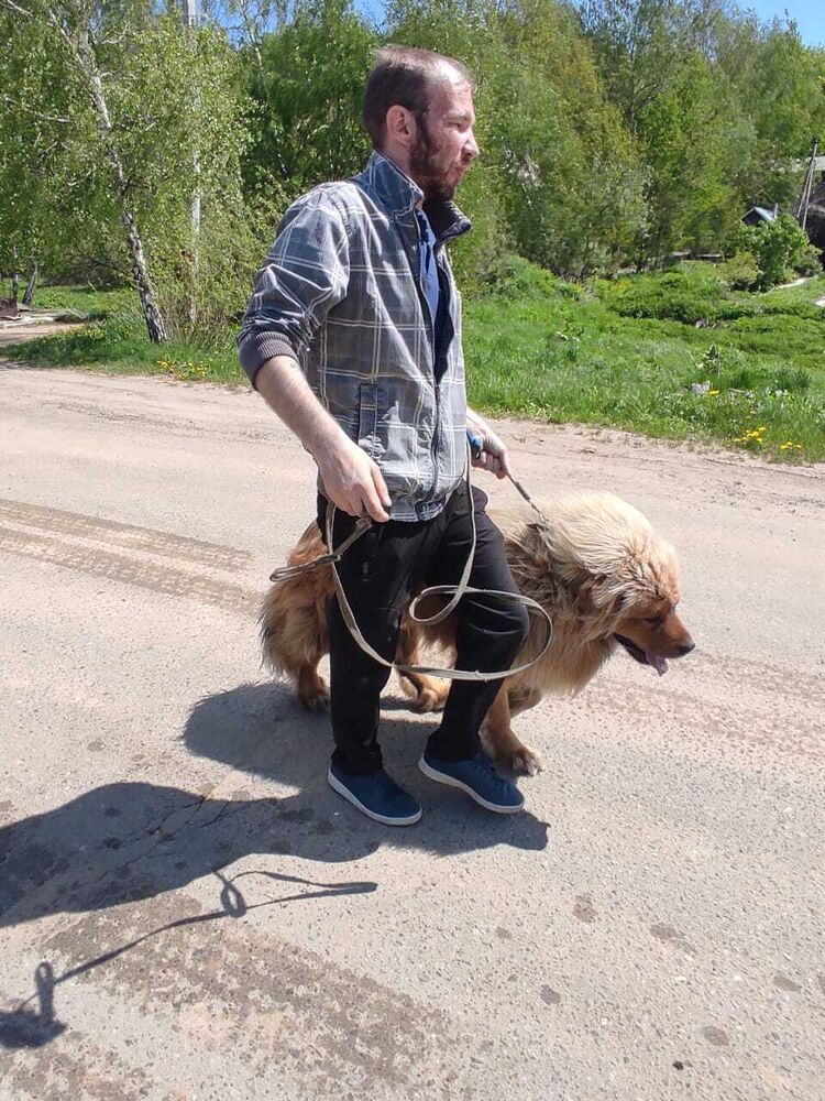 ���� 27929202 ������� Nikitos, 33 ����, ���� ���������� � ������