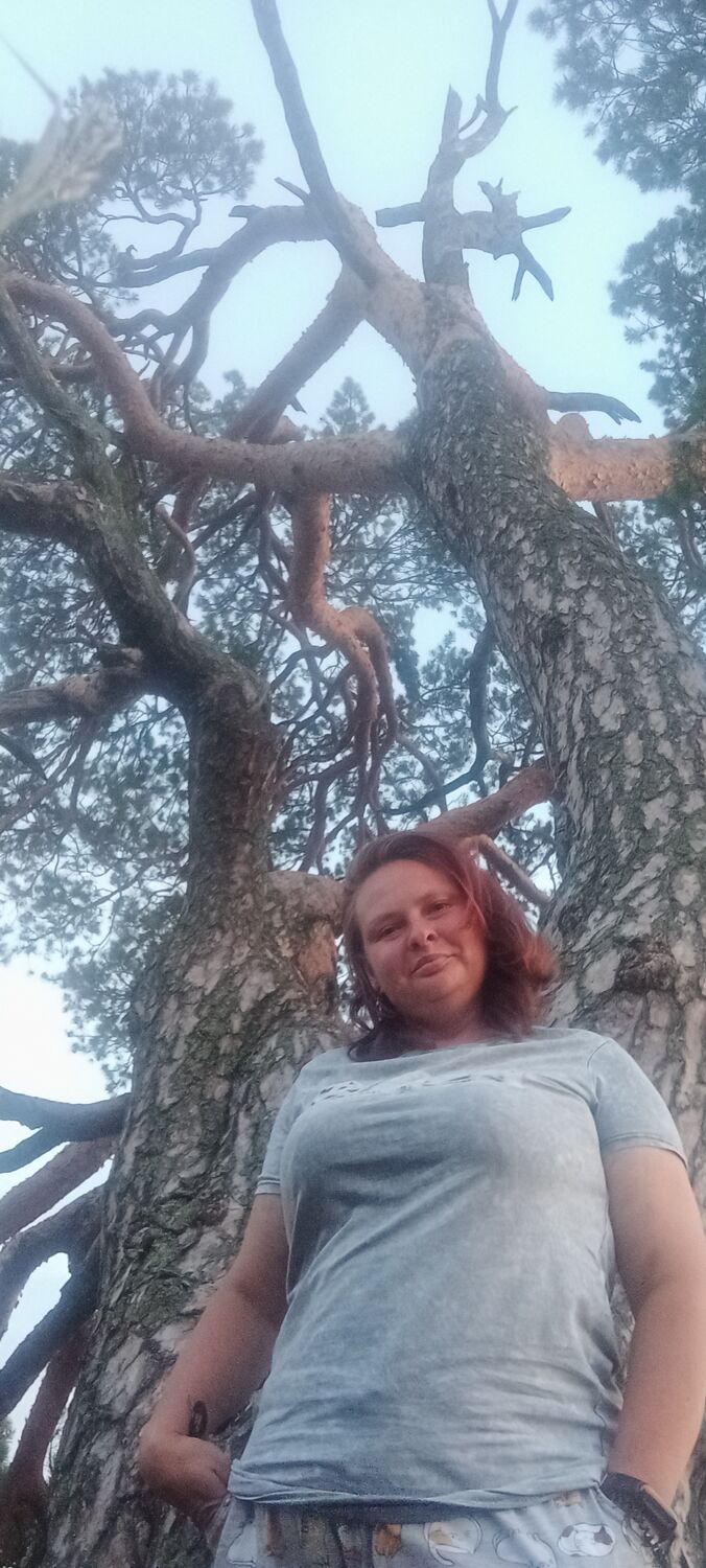 ���������� �����, ���� ������� ��������, 36 ���, ������������ ��� ������, ����� � ���������