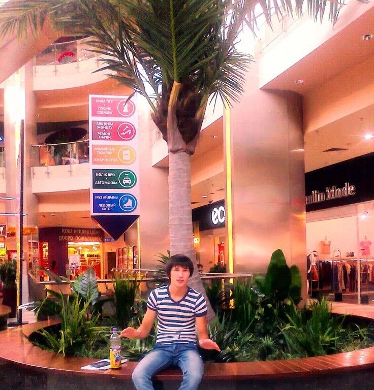 ���������� ������, ���� ������� ������, 33 ����, ������������ ��� ������