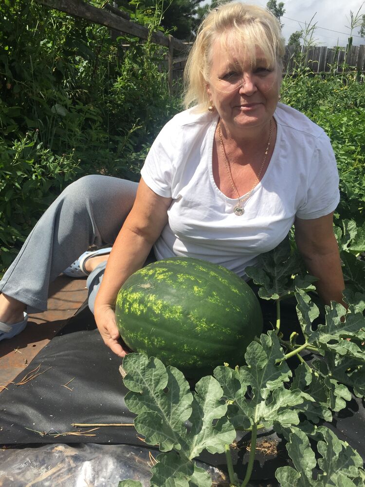 ���������� ����������, ���� ������� ����, 62 ����, ������������ ��� c�������� ���������