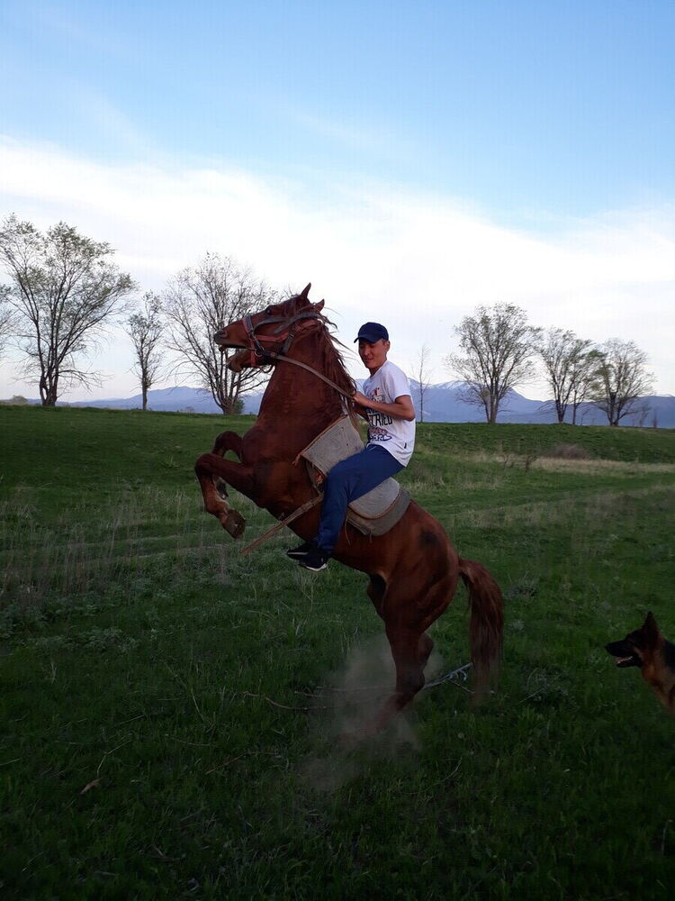 ���������� ������, ���� ������� ���, 40 ���, ������������ ��� ������, ����� � ���������, c�������� ���������