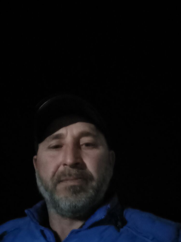  31576912  , 46 ,    
