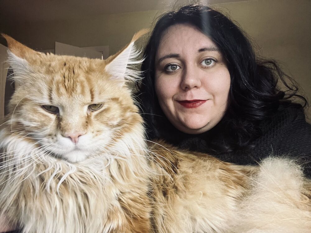 ���� 56082462 ������� �����, 30 ���, ���� ���������� � �������������